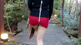 奴隷女社長ひなた裏の貌　【ステンレスの首輪と肛門フック】