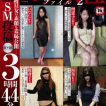 【マゾ女性ファイル 2】が発売中です。