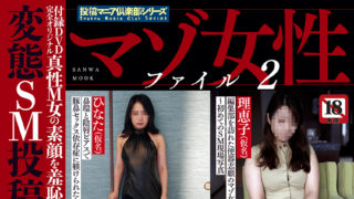 【マゾ女性ファイル 2】が発売中です。