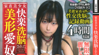 【家畜美少女 快楽洗脳された美形愛奴たち】が発売中です。