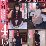 【マゾ女性ファイル 3】が発売中です。