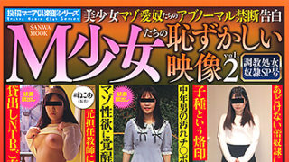 【M少女たちの恥ずかしい映像vol.2】が発売中です。